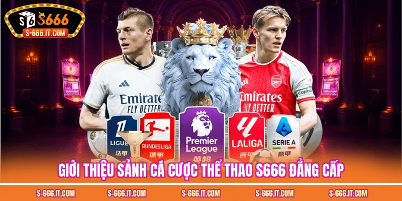 Giới thiệu sảnh cá cược thể thao S666 đẳng cấp