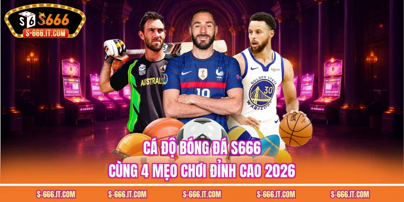 cá độ bóng đá